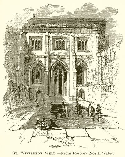 Pozo de Santa Winifreda de English School