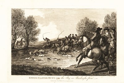 Cazadores de ciervos y sabuesos cazando un cervatillo en la Caza de Pascua de Epping de English School