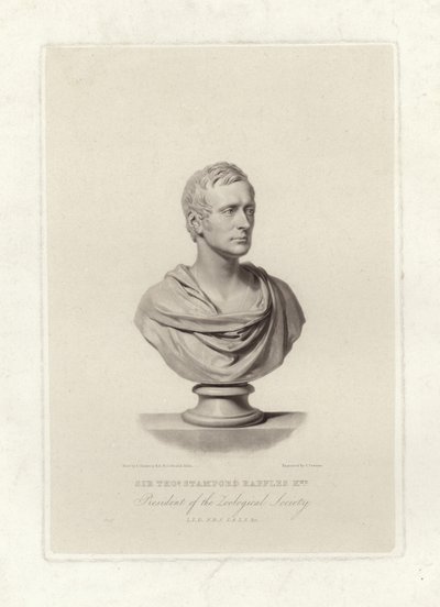 Stamford Raffles de English School