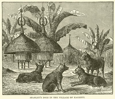 Los perros de Stanley en el pueblo de Kagehyi (grabado) de English School