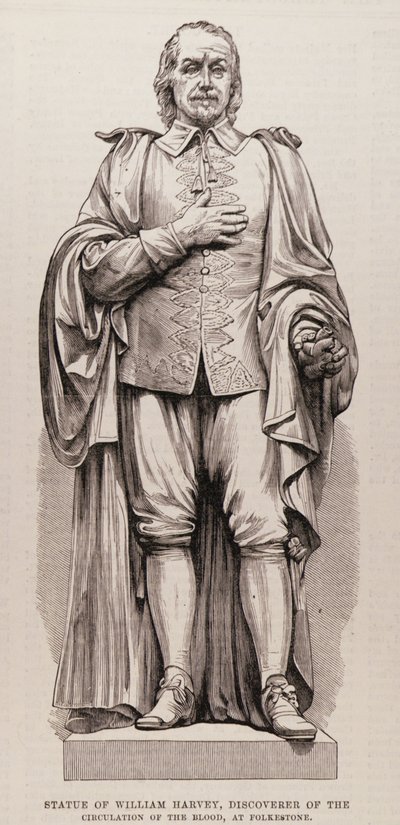 Estatua de William Harvey (1578-1657), descubridor de la circulación de la sangre, en Folkestone, de The Illustrated London News, 13 de agosto de 1881 de English School