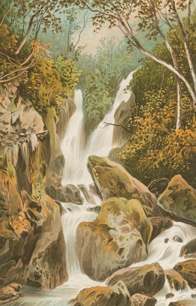 Stockgill Force--Ambleside de English School