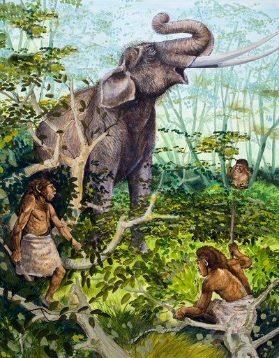 Hombre de la Edad de Piedra y elefante de English School