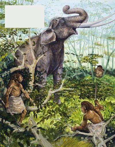 Hombre de la Edad de Piedra y elefante de English School