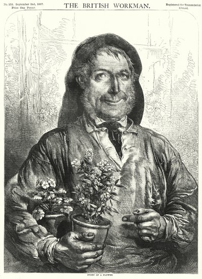 Historia de una flor (grabado) de English School