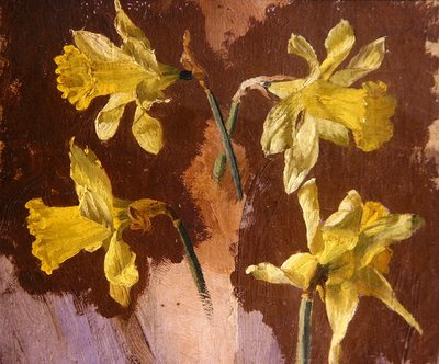 Estudio de narcisos, c.1830 de English School