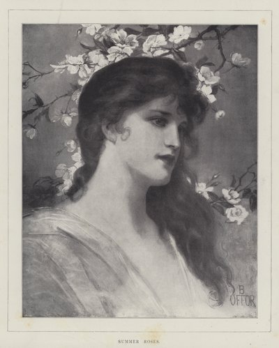 Rosas de Verano de English School