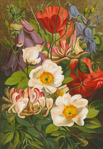 Flores de verano (litografía en color) de English School