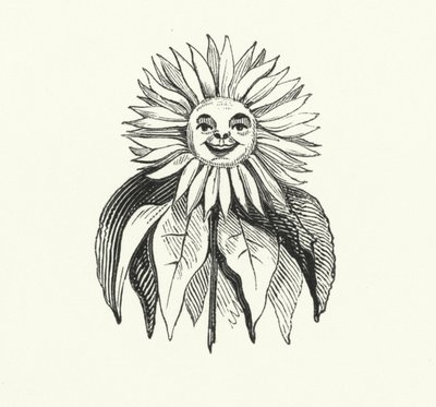 Girasol (grabado) de English School