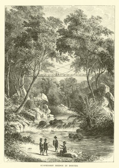 Puente colgante en Borneo de English School