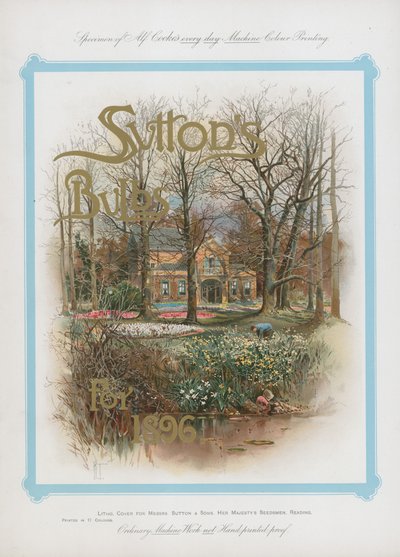 Bulbos de Suttons para 1896 de English School