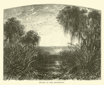 Pantano en el Mississippi de English School