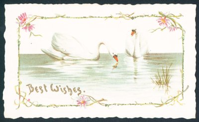 Cisnes en el lago, tarjeta de Navidad de English School