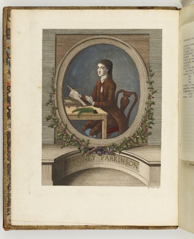 Sydney Parkinson, ilustración de 
