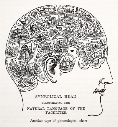 Cabeza Simbólica de English School