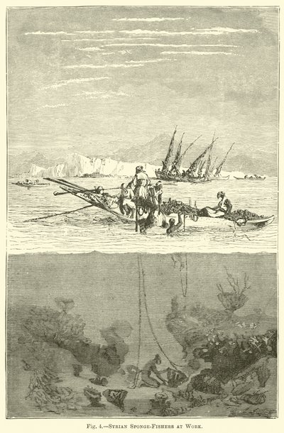 Pescadores de esponjas sirios en acción de English School