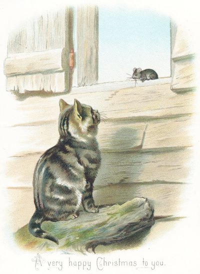 Gato atigrado mirando a un ratón de English School