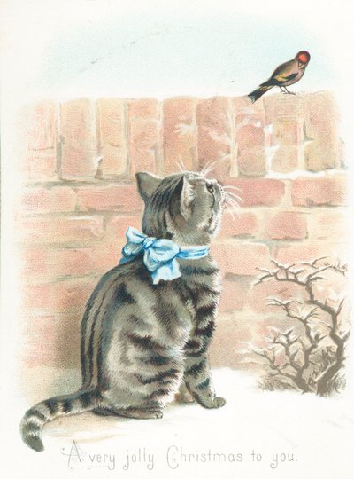 Gato atigrado observando un pinzón en la pared de English School