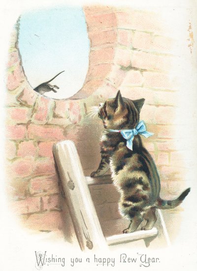 Gato atigrado viendo al ratón escapar de English School