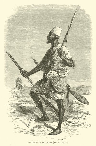 Talibe en traje de guerra, Senegambia de English School