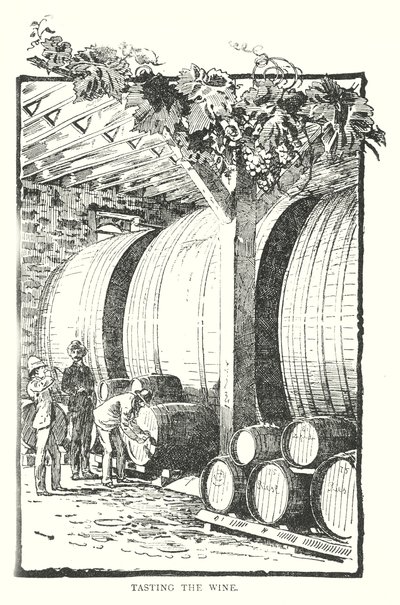 Degustación del vino (grabado) de English School