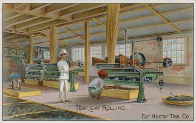 Enrollado de hojas de té, para Nectar Tea Co, tarjeta comercial de English School