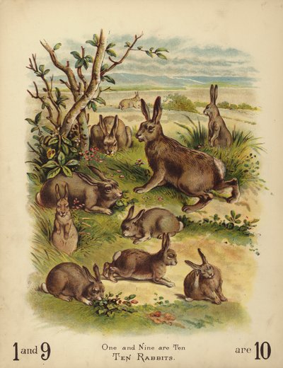 Diez conejos (cromolito) de English School