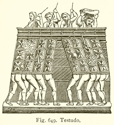 Testudo de English School