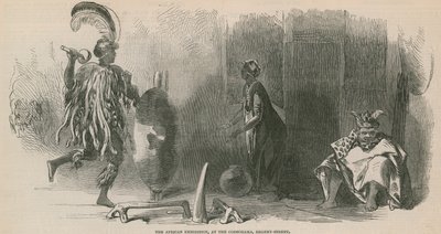 La Exposición Africana en el Cosmorama, Regent Street de English School