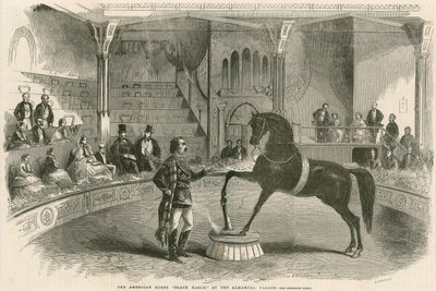 El caballo americano Águila Negra en el Palacio Alhambra (Teatro Alhambra), Leicester Square, Londres de English School