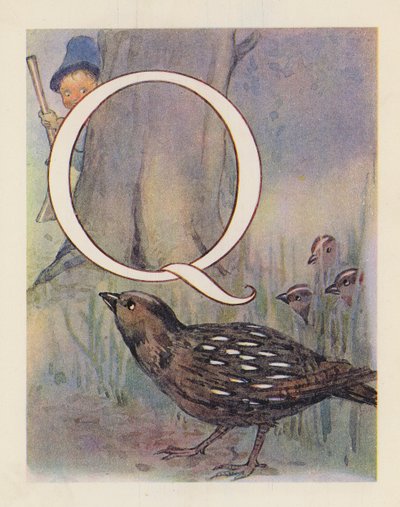 El abecedario animal: Letra Q, Codorniz (litografía en color) de English School