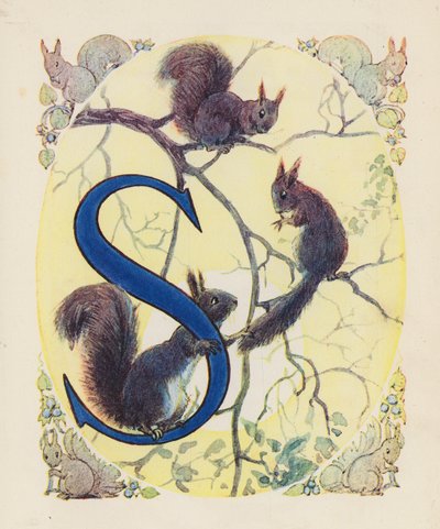 El abecedario de los animales: Letra S, Ardilla (litografía en color) de English School