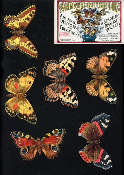 Las Mariposas Animadas, Divertidas, Decorativas y Educativas, Una Novedad Sorprendente y Realista de English School