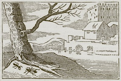 La hormiga y la mosca (grabado) de English School