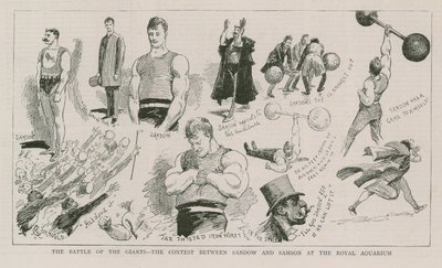 La batalla de los gigantes de English School