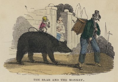 El oso y el mono de English School
