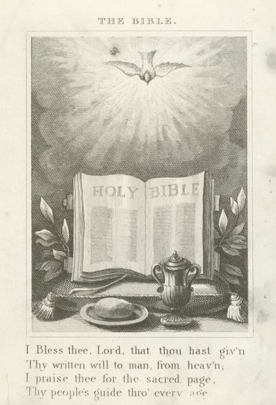 La Biblia de English School