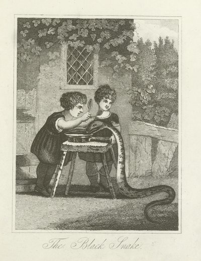 La serpiente negra de English School