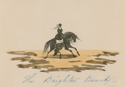 La belleza de Brighton de English School