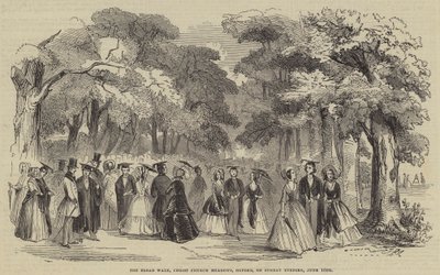El Broad Walk, Christ Church Meadows, Oxford, el domingo por la tarde de English School