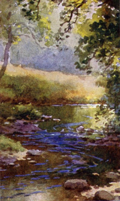 El arroyo de English School
