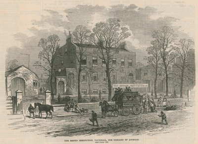 Institución Brown, Vauxhall, para enfermedades de animales de English School