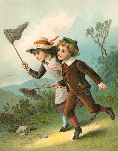 La caza de la mariposa de English School