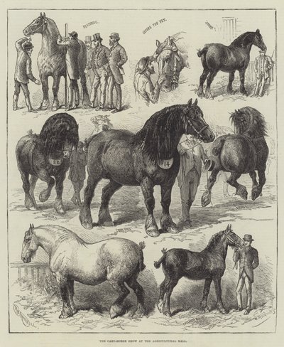 La Exposición de Caballos de Tiro en el Salón Agrícola de English School