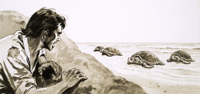 Los náufragos: Terror en la Isla de las Tortugas de English School
