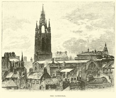 La catedral de English School