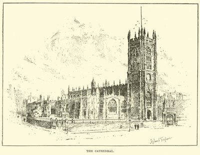 La catedral de English School