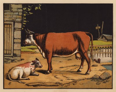 La vaca (litografía en color) de English School