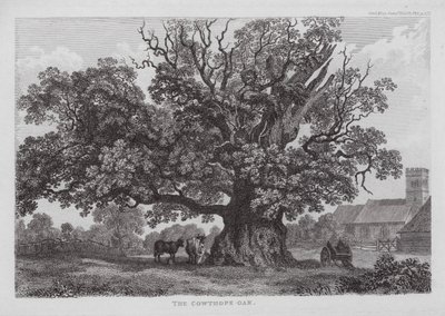 El roble de Cowthope (grabado) de English School
