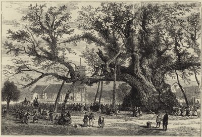 El roble de Cowthorpe de English School